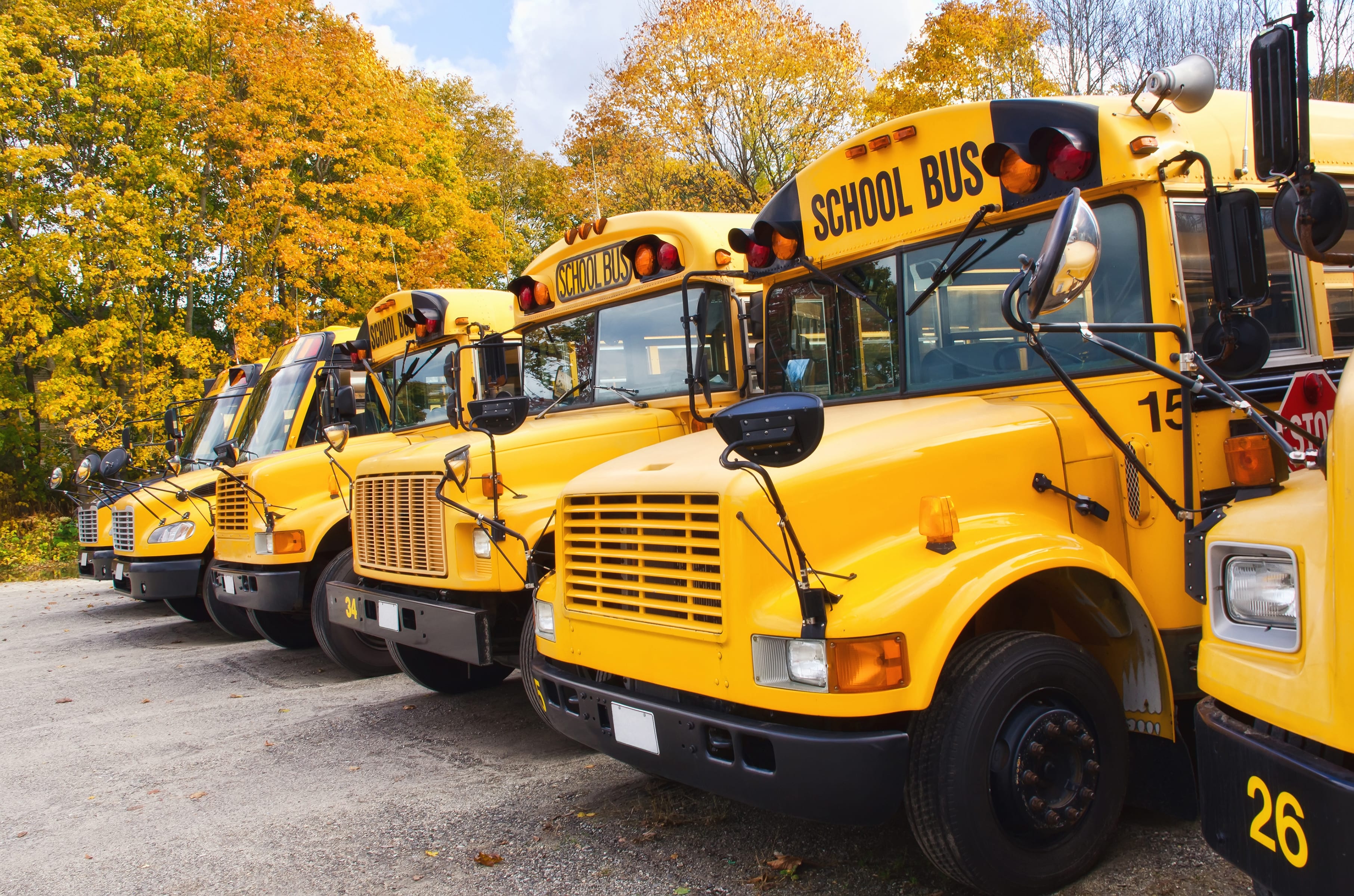 Yellow school buses lined up