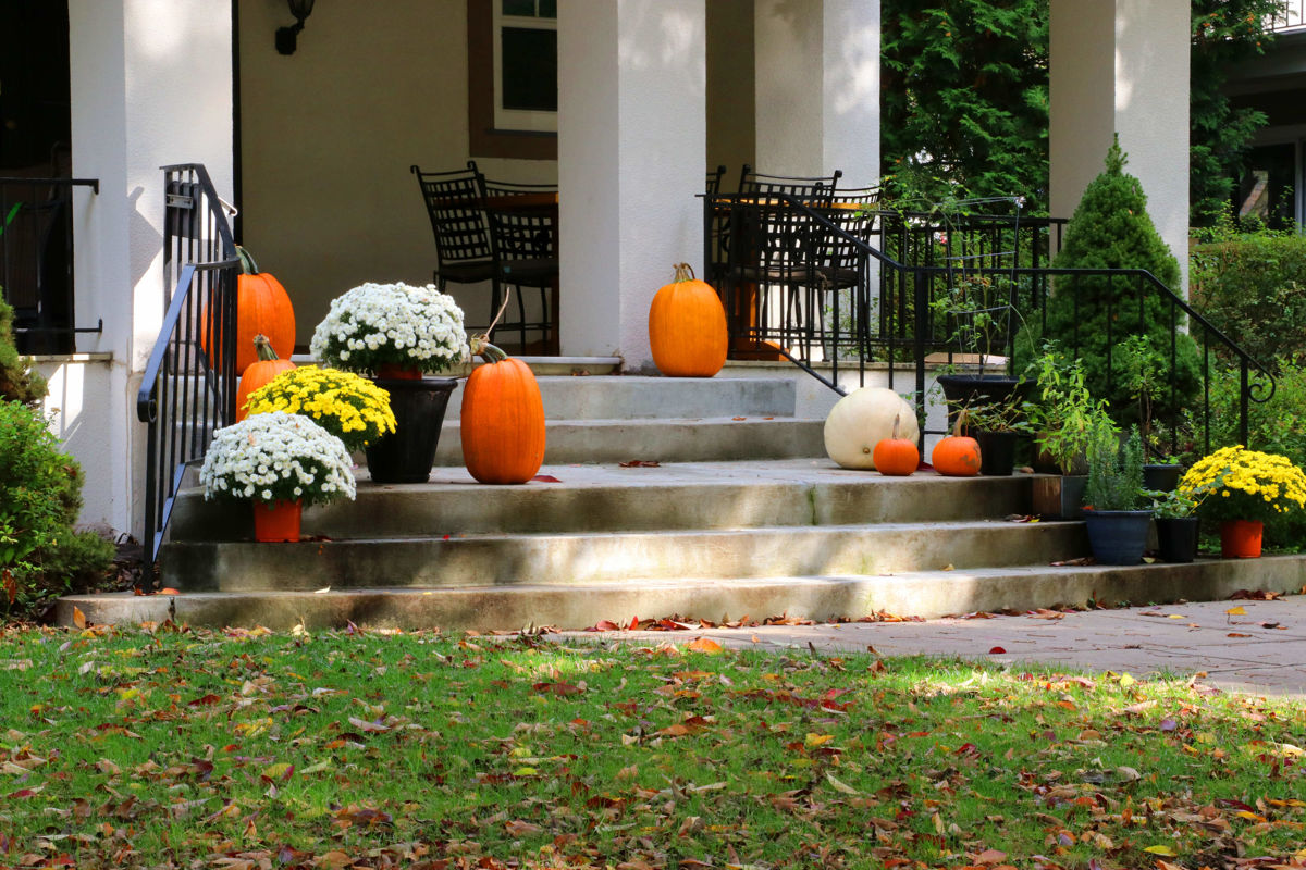 front stoop with mum flowers and pumpkins
