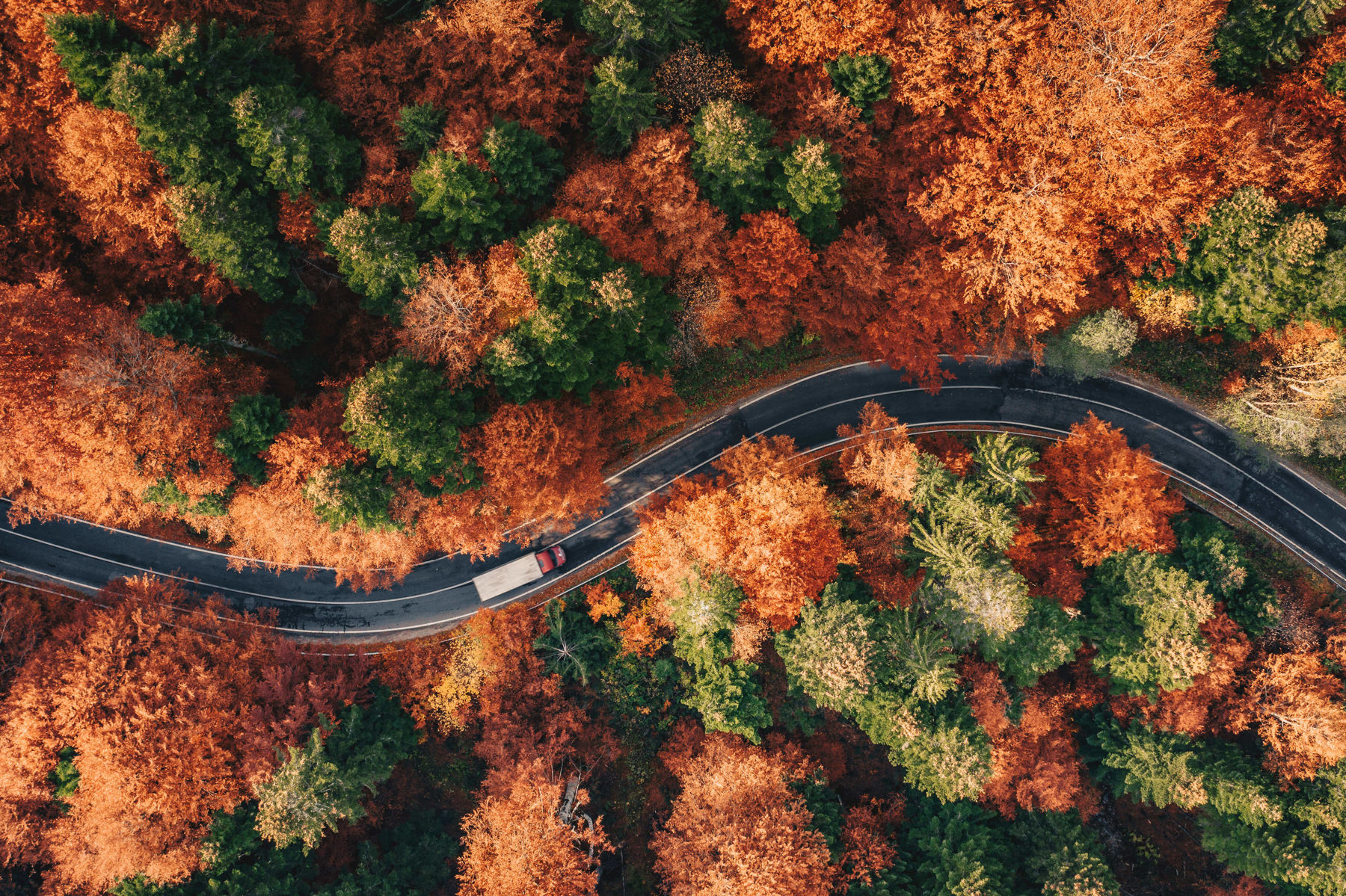 aerial view of a window road during autumn